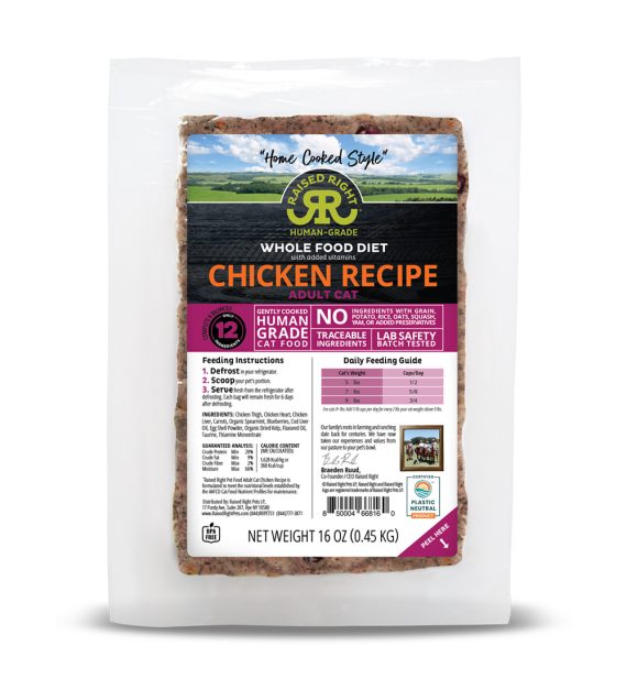 Original Chicken Adult Cat Recipe